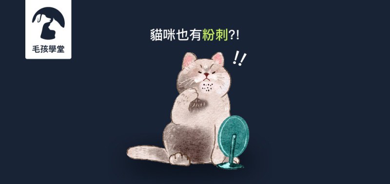 貓咪也有粉刺 !? 貓咪粉刺真的需要清理嗎 ? 跟著木入森了解神秘的貓粉刺及粉刺清理方法大公開